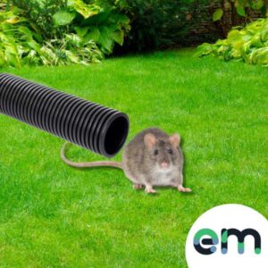 product image of a rat playing in rat tunnel pipe